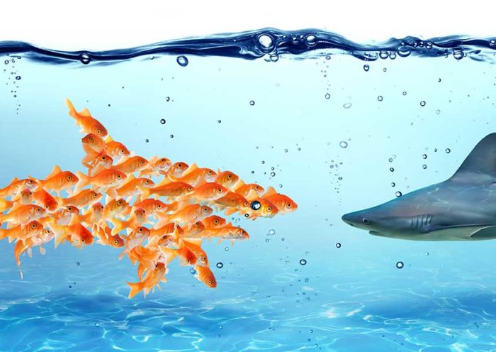 teamwork vs individual work